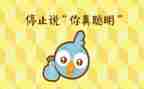 语言聪明的乌龟教案推荐6篇