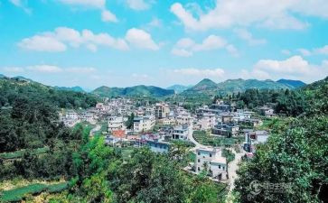 2024年村村主任述职报告8篇