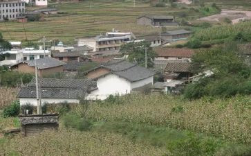 村卫生室的年度工作总结优秀6篇