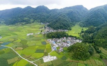 到村大学生2024工作计划最新7篇