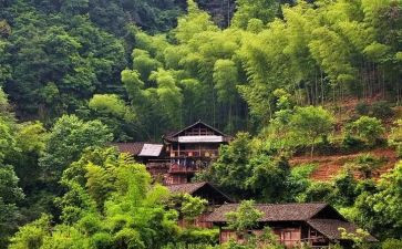 农村卫生工作计划8篇