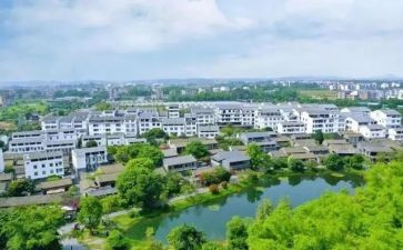 农村生活现状调查报告5篇