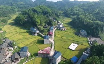 到村大学生2024工作计划5篇