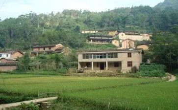 到村大学生2024工作计划通用5篇