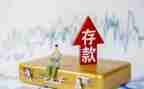 存款保险的活动总结5篇