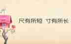 尺有所长寸有所短作文6篇