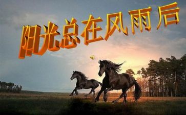 关于挫折的作文800字6篇