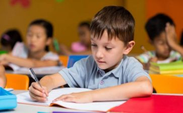 幼儿园大班心得体会5篇