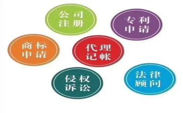 2024年代账公司工作总结参考5篇