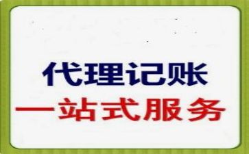 2024年代账公司工作总结7篇