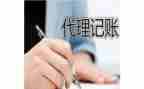 2024年代账公司工作总结模板8篇