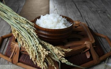 大米的教案8篇