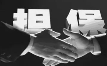 个人购房借款/担保合同6篇