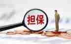 担保合同模板7篇