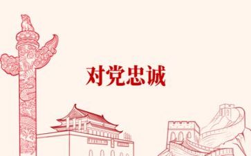 律师19党心得体会7篇