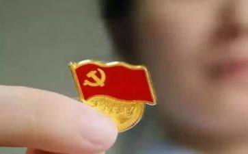 党工个人总结报告8篇