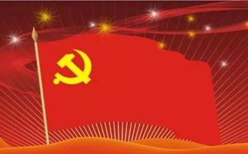 局党组工作总结7篇