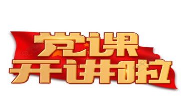 党年终工作总结5篇