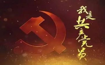 党工个人总结报告优质7篇