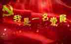 党年度总结及工作计划最新8篇