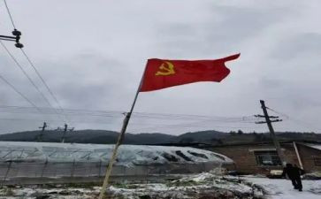 党员转正申申请书6篇