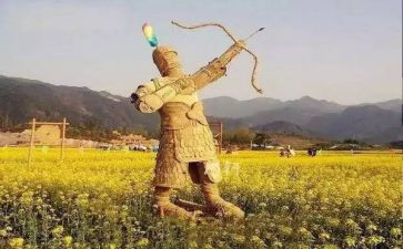 《稻草人》阅读心得6篇