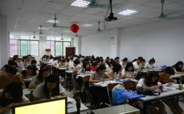 导师制的工作总结5篇