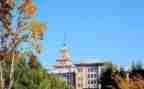 会计专业大学毕业生自我鉴定5篇