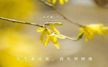 疫情得与失作文8篇