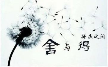 得与失作文800字精选5篇