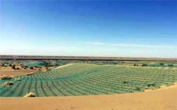 只一个地球读后感最新8篇