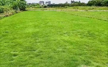 地产个人总结推荐6篇