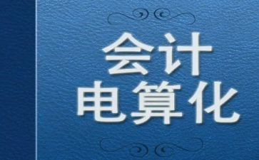 会计电算化工作总结8篇