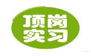 银行顶岗实习工作总结6篇