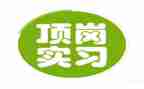 银行顶岗实习工作总结6篇
