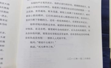 第七天心得最新5篇