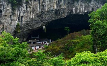 《洞》读后感300字参考7篇
