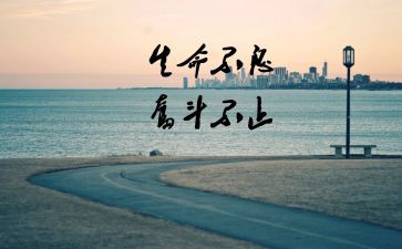 作文我懂了____400字5篇