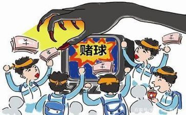 赌和毒的观看心得体会模板7篇