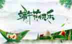 端午节心得体会500字5篇