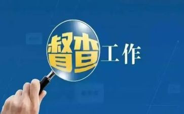 督查工作年终总结7篇