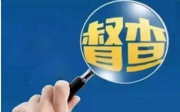 大督查工作心得体会5篇