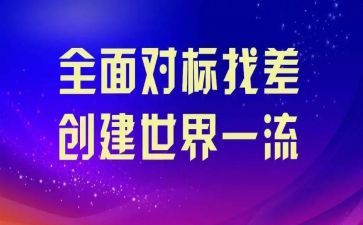 服务对标心得体会通用5篇