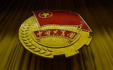 对团队的心得体会5篇
