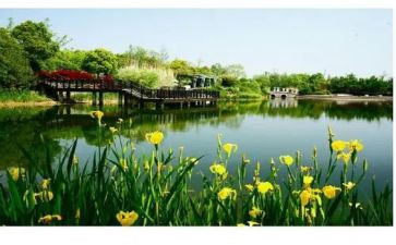 多彩的校园作文通用8篇