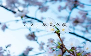 十二月销售工作总结5篇