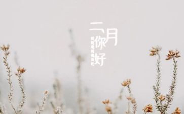 二月份的工作计划5篇
