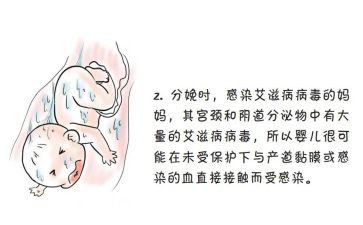 预防艾滋病知识心得7篇