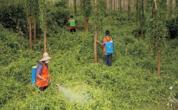职业防治宣传周活动总结5篇