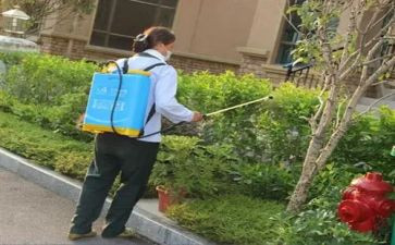 镇污染防治工作总结5篇
